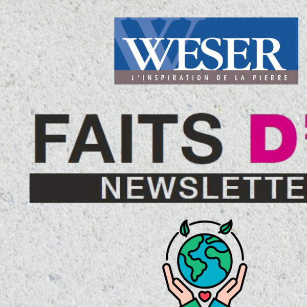 highlight article fib rse wESER Letter of intent CSR FIB